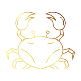 Krebs
