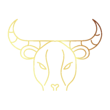 Stier